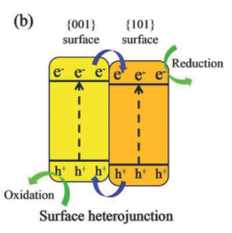 0ac9b648-aad2-11ef-93f3-92fbcf53809c.png