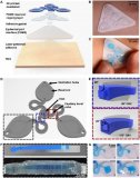 3D打印類皮膚表皮微流控系統用于汗液捕獲和分析