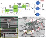 MEMS神经网络：以零电路和低功耗同时执行传感和计算任务