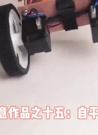 自平衡兩輪小車。看似簡(jiǎn)單，實(shí)現(xiàn)原理還是很有代表性的，是PID算法的典型