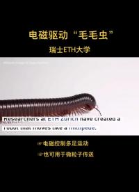 #機器人 “毛毛蟲機器人”