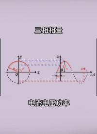 三相相量 正弦交流电 #电力知识 #电工知识 相量是什么