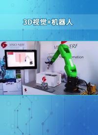 3D視覺在工業(yè)機(jī)器人的應(yīng)用 #控制算法#3D視覺 