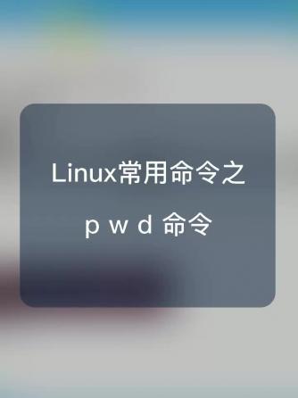 处理器,嵌入式,智能设备