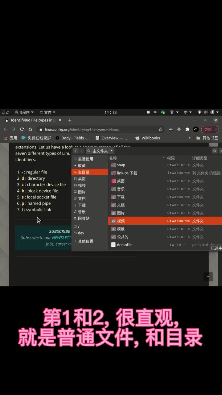 linux基础篇之文件权限（中）#linux 