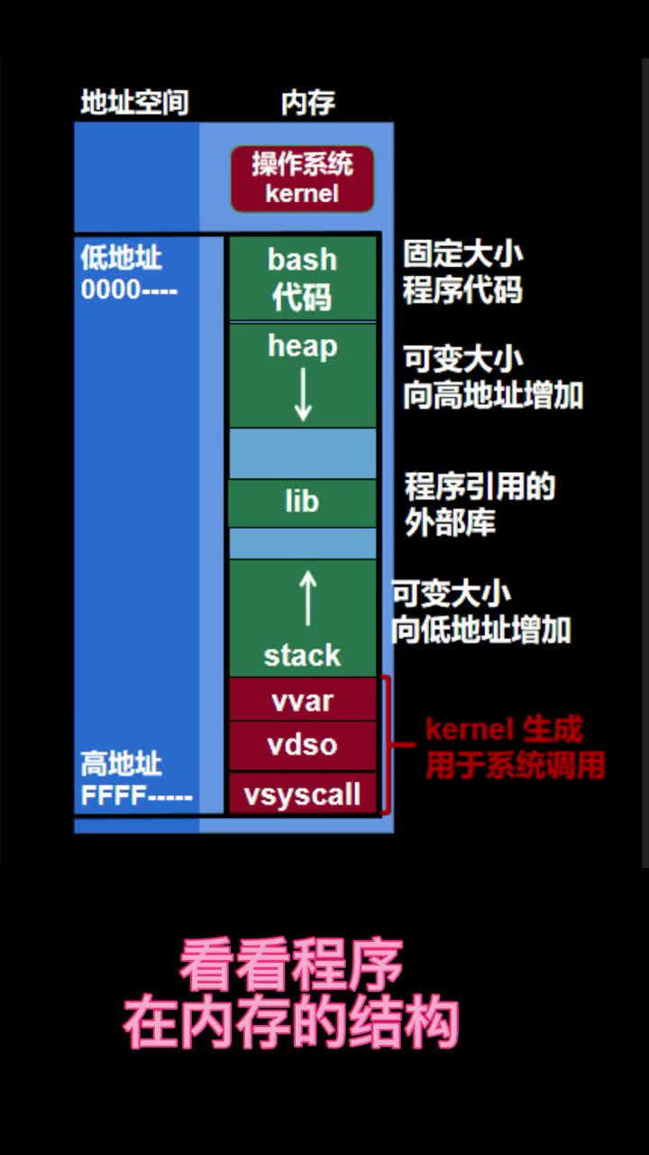 stack和heap起什么作用？#linux 