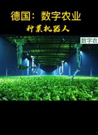 德國(guó)數(shù)字農(nóng)業(yè)，種菜機(jī)器人