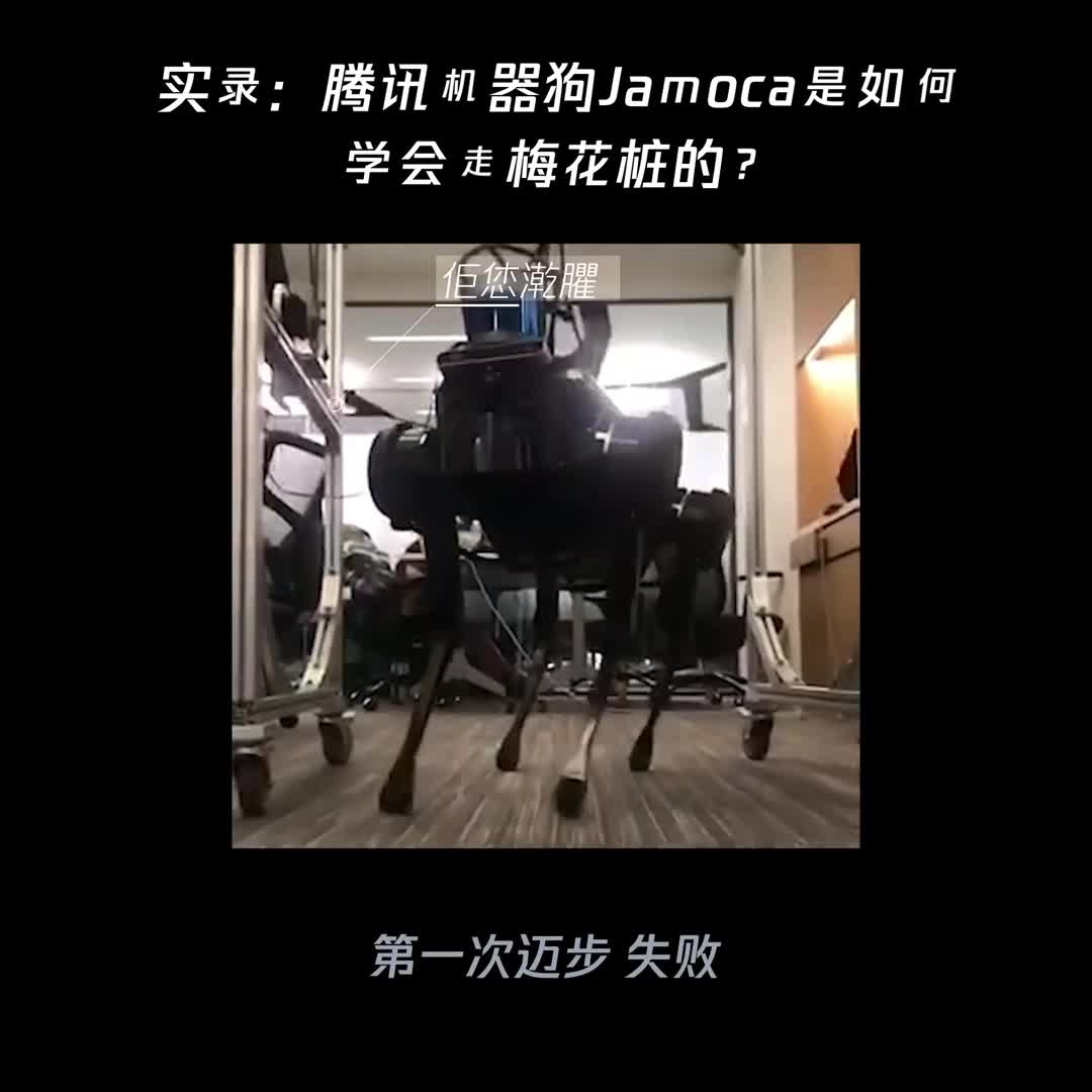 一分钟揭秘：腾讯机器狗Jamoca是如何学会走梅花桩的？