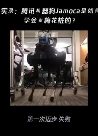 一分鐘揭秘：騰訊機(jī)器狗Jamoca是如何學(xué)會(huì)走梅花樁的？