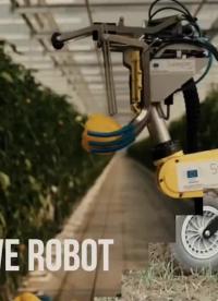 商用全自动采摘菜椒机器人：使用相机和LED补光来识别图像中的蔬菜和距离，解放人力！