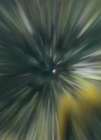 機器狗可以放羊？在農業(yè)上怎么應用？