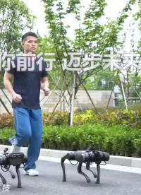 國產四足機器狗，陪你跑步跟你走