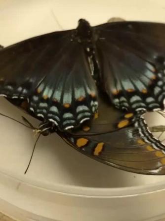 晶圆制造,芯片验证板,行业芯事,工具使用,仪器仪表,纳米