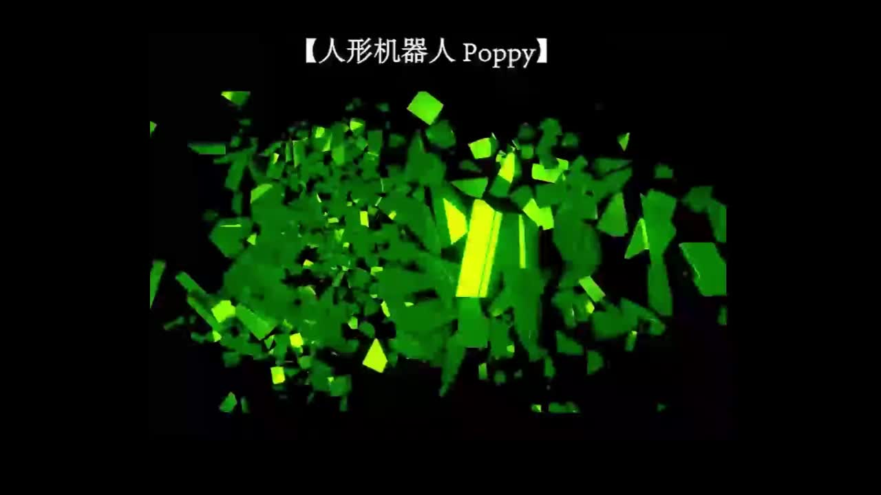 人形機(jī)器人 Poppy