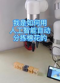 第11集 | 用人工智能實(shí)現(xiàn)棉花自動分揀 #人工智能 #機(jī)器視覺 