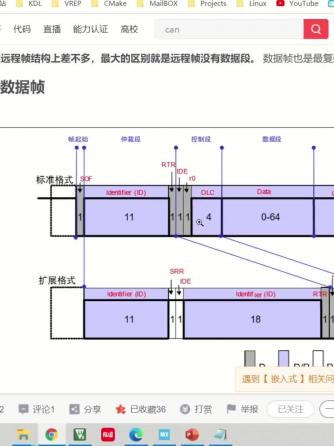 CAN,总线/接口技术,网络系统,通信协议