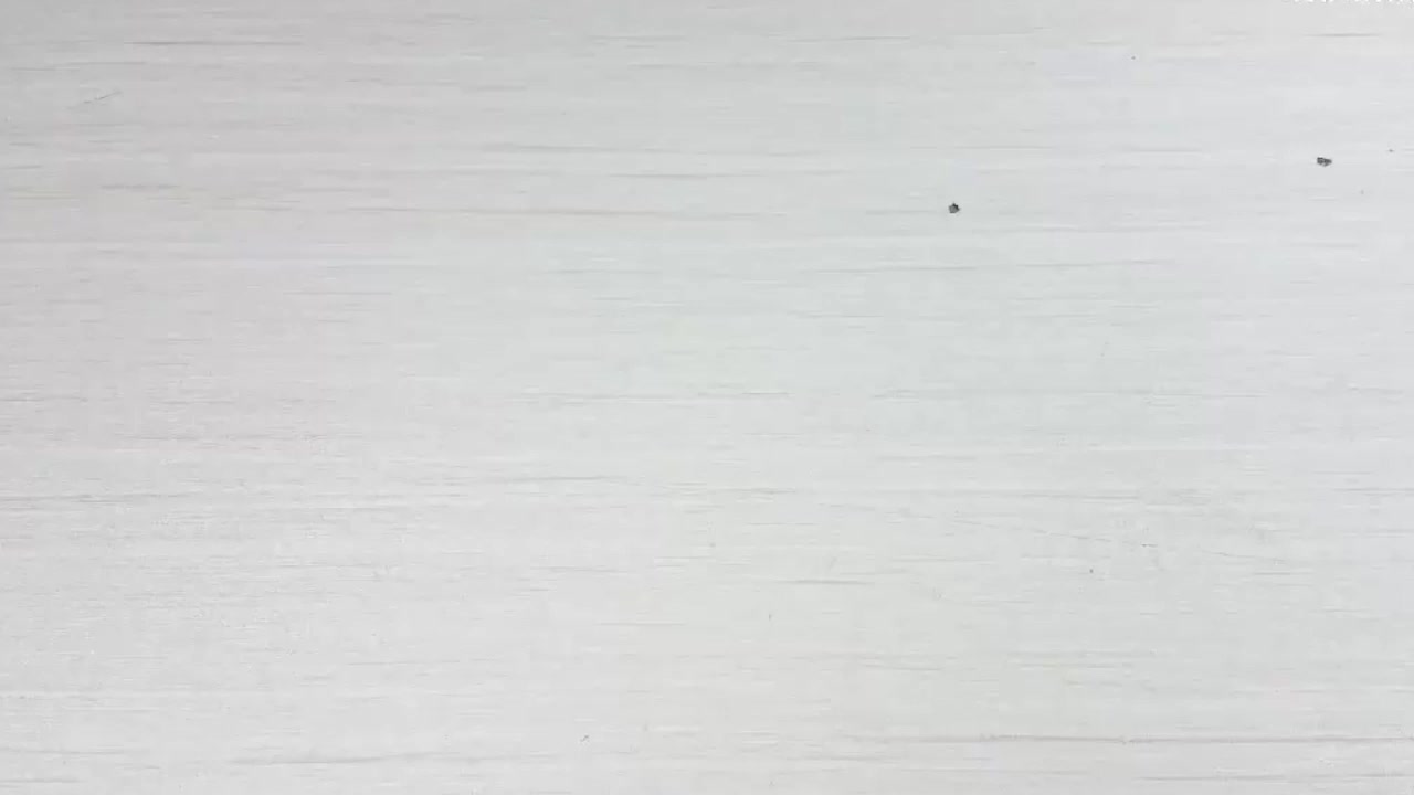 糖度是如何測(cè)定的？拆解糖度計(jì)，科普給你它的用法原理和構(gòu)造  #硬核拆解 