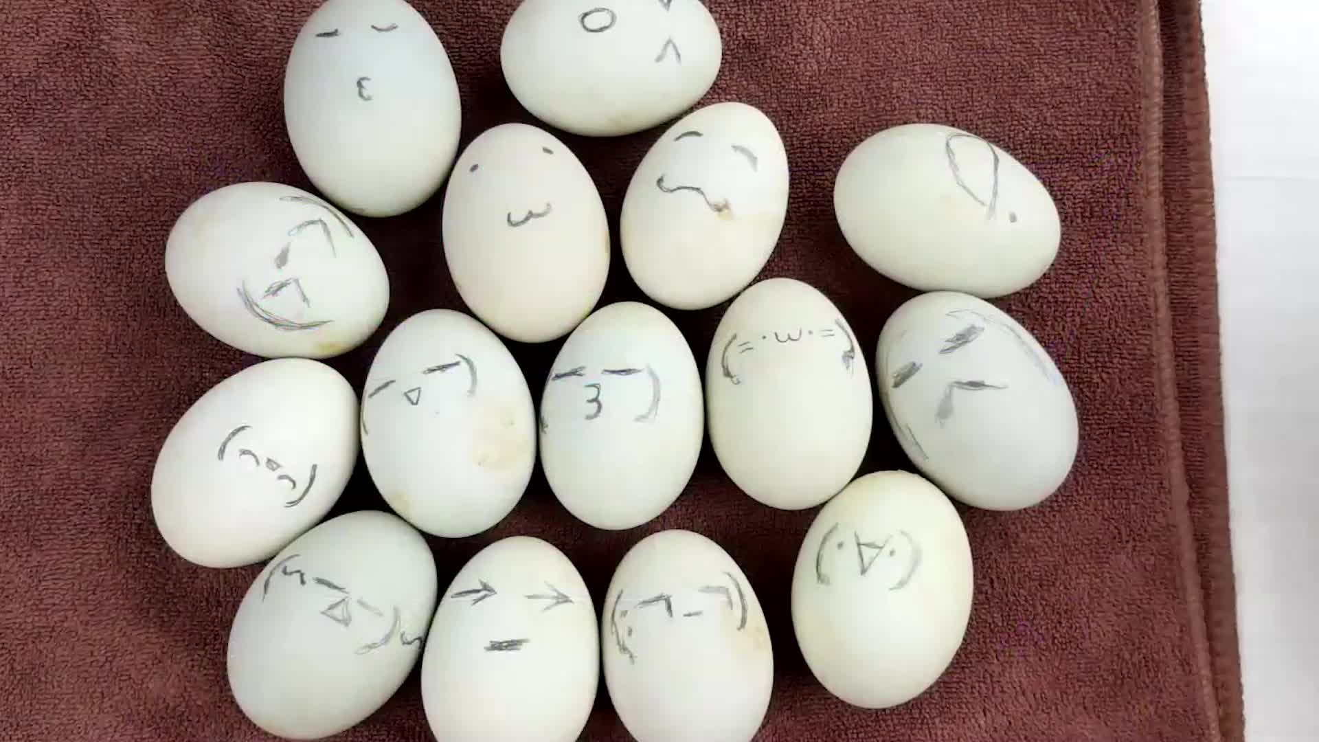 运动的鸡蛋去撞静止的鸡蛋，哪个先碎？  #硬核拆解 