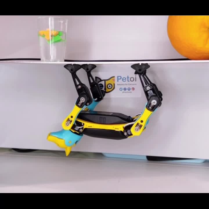 機器人在天花板的第一步 #四足 #機器狗 #Arduino #樹莓派 #舵狗 #STEAM #動作規劃 #開源