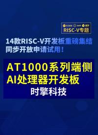 【RISC-V專題】時擎科技AT1000開發板免費試用#RISC-V開發板評測 