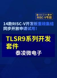 【RISC-V專題】泰凌微TLSR9系列開發(fā)套件免費(fèi)試用#RISC-V開發(fā)板評測 