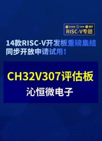【RISC-V專題】沁恒微CH32V307評估板免費試用#RISC-V開發板評測 