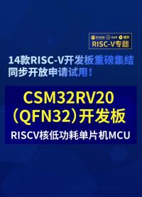 【RISC-V專題】南京中科微CSM32RV20開發板免費試用#RISC-V開發板評測 