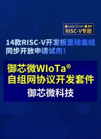 【RISC-V專題】御芯微WIoTa自組網協議開發套件首發試用#RISC-V開發板評測 