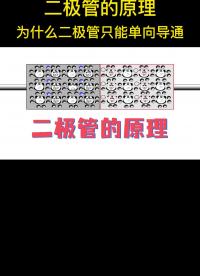 妙啊！原來二極管是這樣的