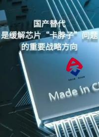 雖然國產芯片還有很長的成長道路，但國產替代是大勢所趨！#  #國產替代 