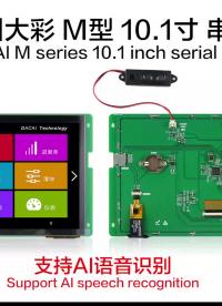 帶語音識別的醫用級串口屏操作演示視頻