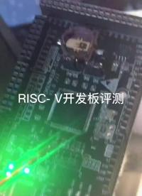 RISC- V开发板评测