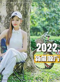 1）2022年第一季度新能源汽車銷量排行榜
