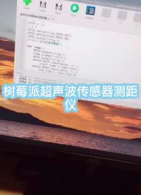 #樹(shù)莓派開(kāi)發(fā) #傳感器 樹(shù)莓派超聲波傳感器測(cè)距儀