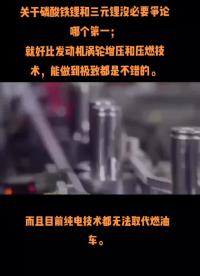 再說一期磷酸鐵鋰和三元鋰的選擇。大家沒必要說一定哪個好，就好比渦輪增壓和壓燃技術，能做到極致都是好的。