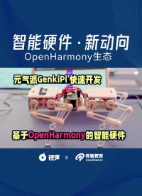 用OpenHarmony玩轉智能硬件，元氣派正當時，元氣派，快速進行智能硬件開發！#跟著UP主一起創作吧 