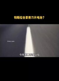 特斯拉也要用比亞迪刀片電池嗎？鋰電池 磷酸鐵鋰 特斯拉 比亞迪刀片電池