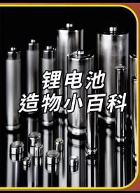 電動(dòng)汽車的鋰電池是這樣制作的，那么汽車電池是5號(hào)電池組成的還是一塊電池板 鋰電池組裝 #機(jī)械制造 