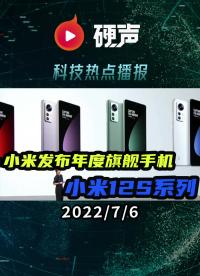 首款面向開發(fā)者的RISC-V筆記本電腦；小米發(fā)布年度旗艦手機(jī)小米12S系列；消費(fèi)電子IC封裝需求疲軟至2023