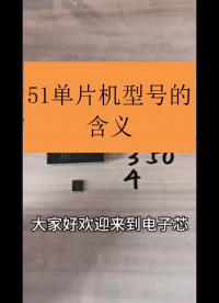 51单片机各个型号字符的含义，你知道吗？#跟着UP主一起创作吧 #硬声新人计划 