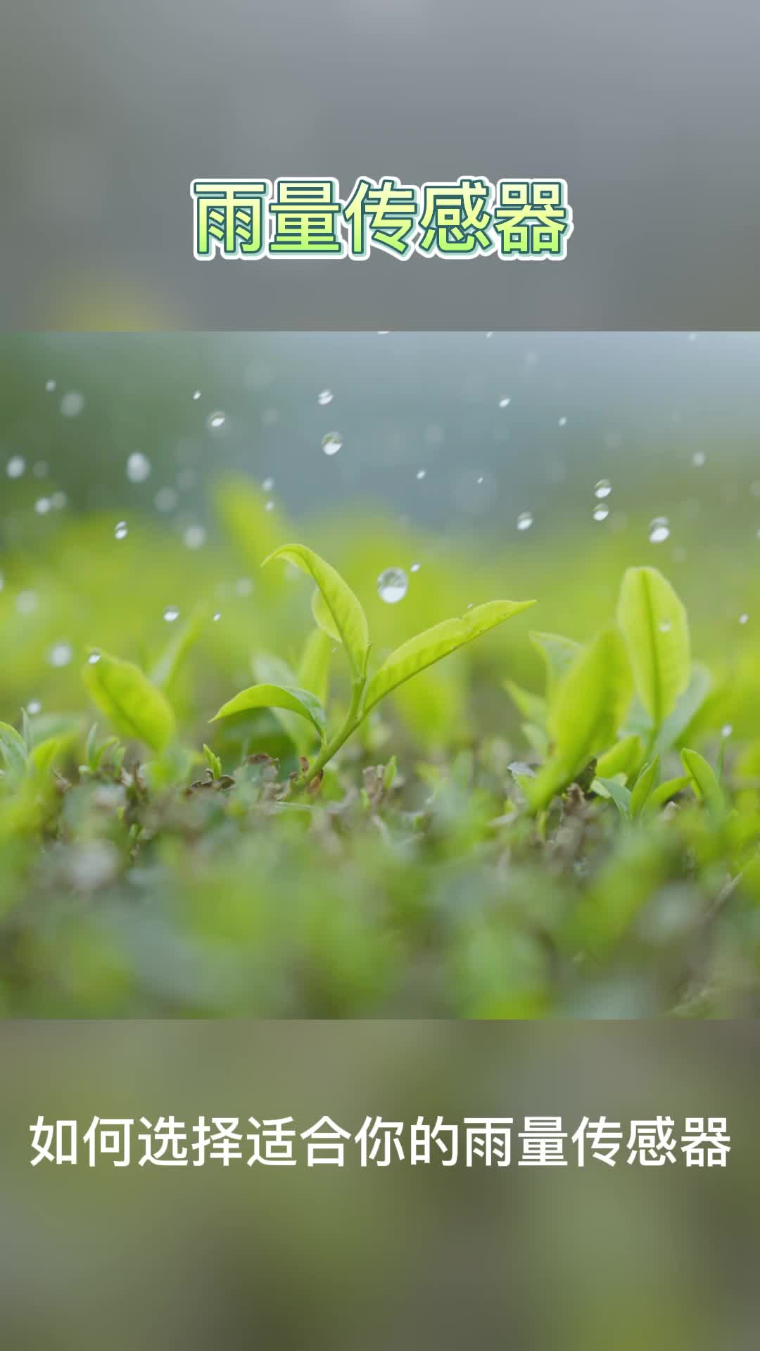 降雨量監(jiān)測 如何選擇雨量傳感器
# 雨量計# 雨量站# 降雨量監(jiān)測# 自動氣象站# 氣象環(huán)境監(jiān)測# 雨水情監(jiān)測