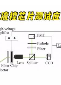 【實驗案例】功率放大器在微流控芯片測試中的應用#功率放大器 #微流控 #芯片 #儀器儀表 #測試測量 