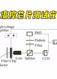 【实验案例】功率放大器在微流控芯片测试中的应用#功率放大器 #微流控 #芯片 #仪器仪表 #测试测量 