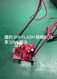 最大功率30W，用于報警器，按摩椅等。
支持U盤/FLASH音頻用戶自修改/紅外遙控/串口通訊控制