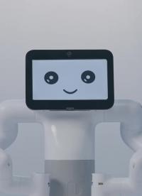開源！ROS13自由度雙臂協作機器人myBuddy，基于樹莓派開發，帶你領略真正的人工智能#機械臂#人工智能 