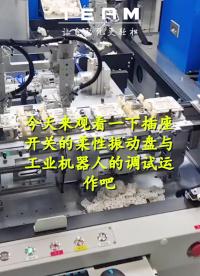 看一看开关插座内柔性振动盘与机械手的调试运作过程是怎样的？#自动化设备
 #柔性振动盘 #螺丝机
 