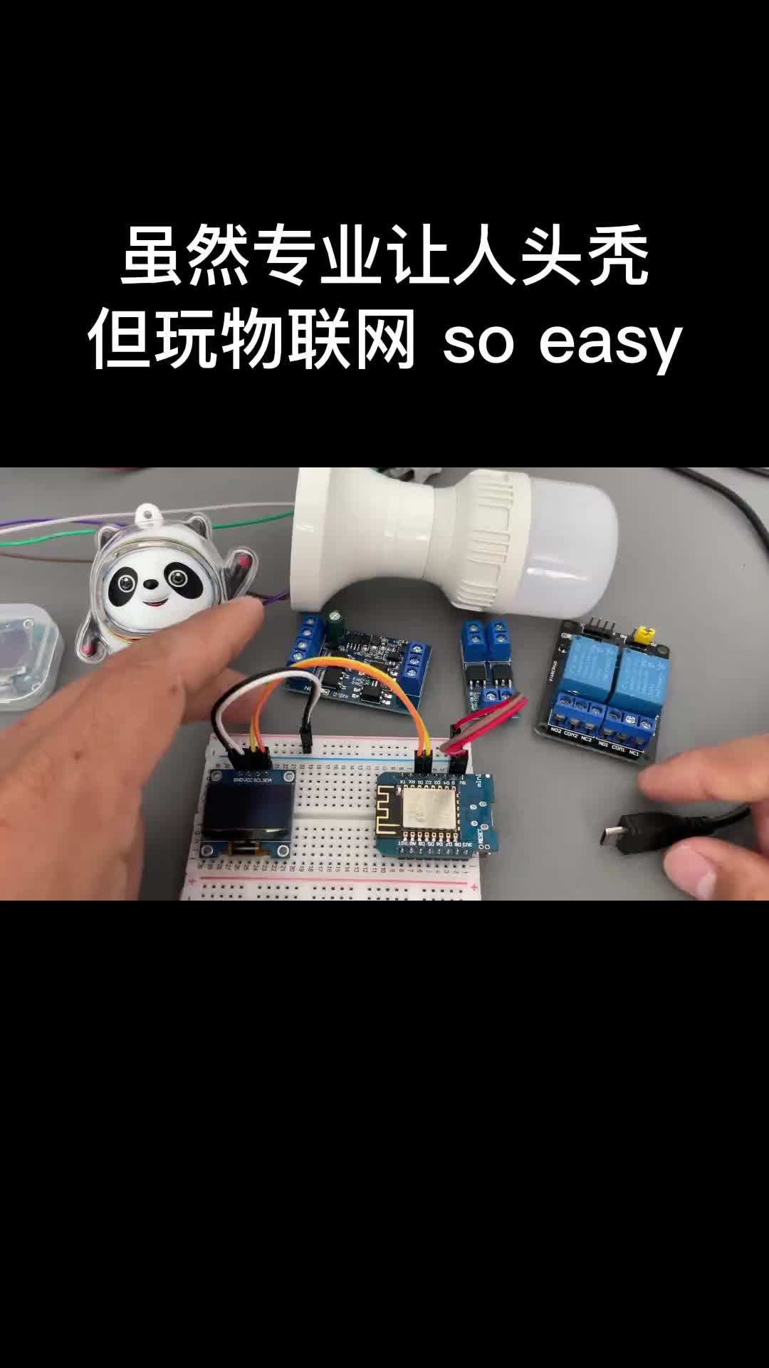 以前別說開發硬件了，光搭建開發環境，大多數人都搞不定。現在，各種軟硬件對物聯網愛好者太親民了。