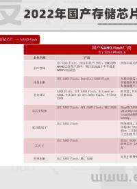 2022年国产存储芯片与模组行业报告