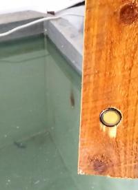 1MHz水聲換能器配套超聲波水下開發板測量視頻(杭州安布雷拉)# #電路設計 #電路原理 