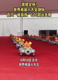 #機器人 現場，百只“機器狗”Go1同臺共舞
